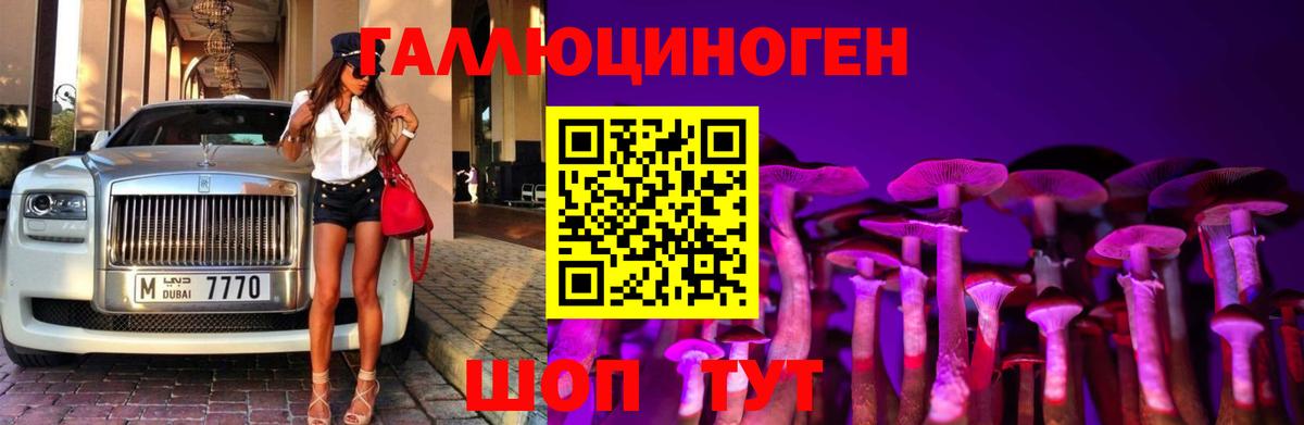 Корсаков  Псилоцибиновые грибы прущие грибы  закладки  Вход с VPN  Галлюциногенные грибы Magic Shrooms 